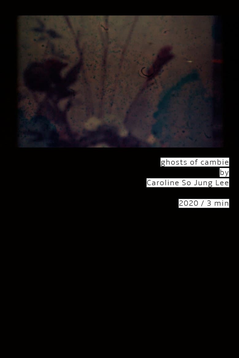ghosts of cambie poster