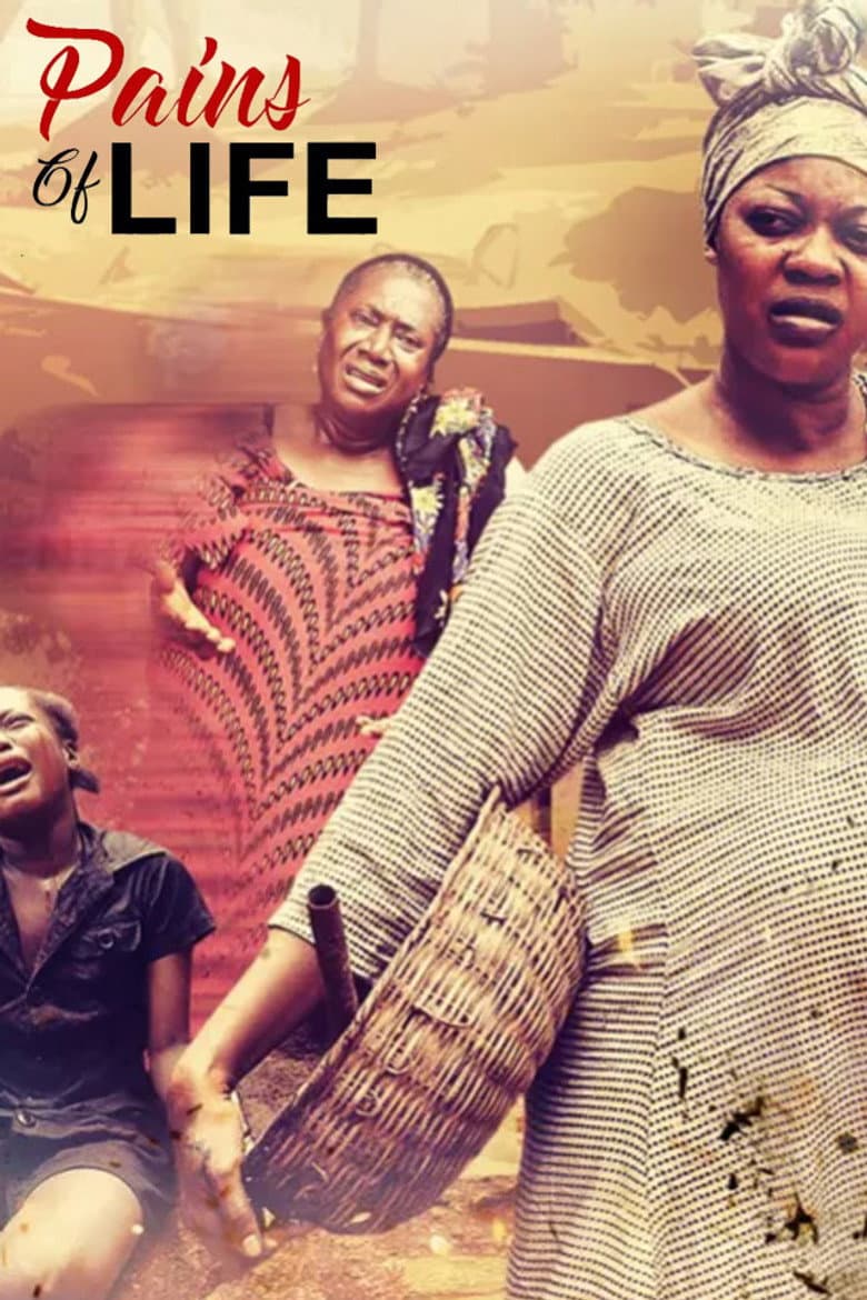Pains Of Life poster