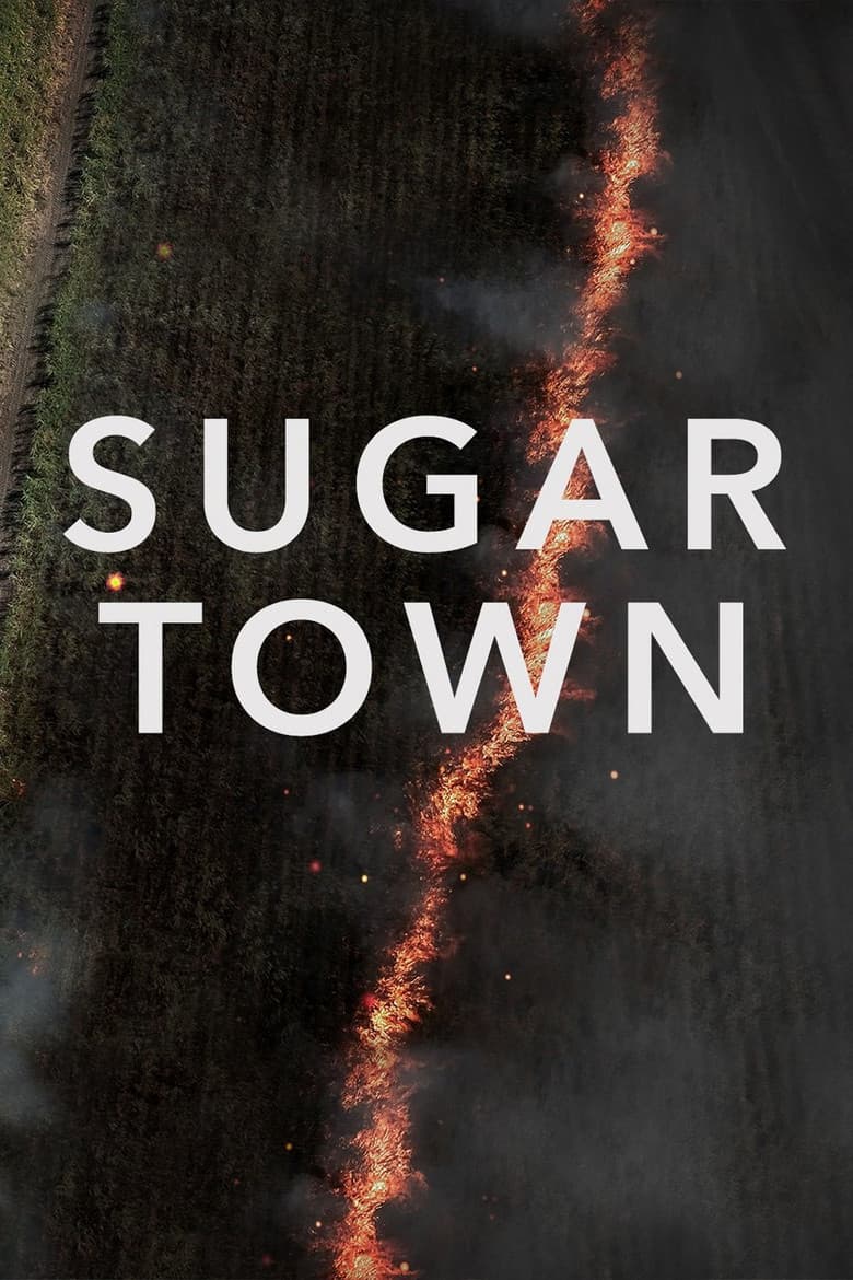 Sugar Town poster