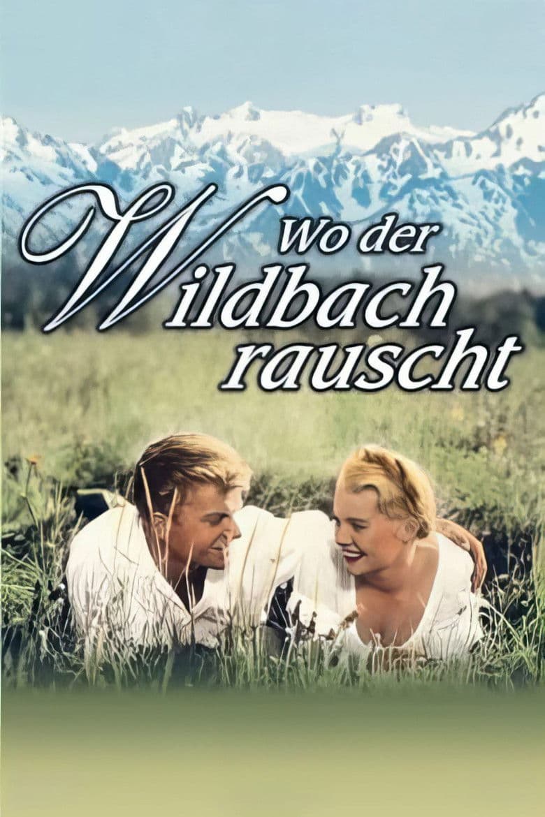 Wo der Wildbach rauscht poster