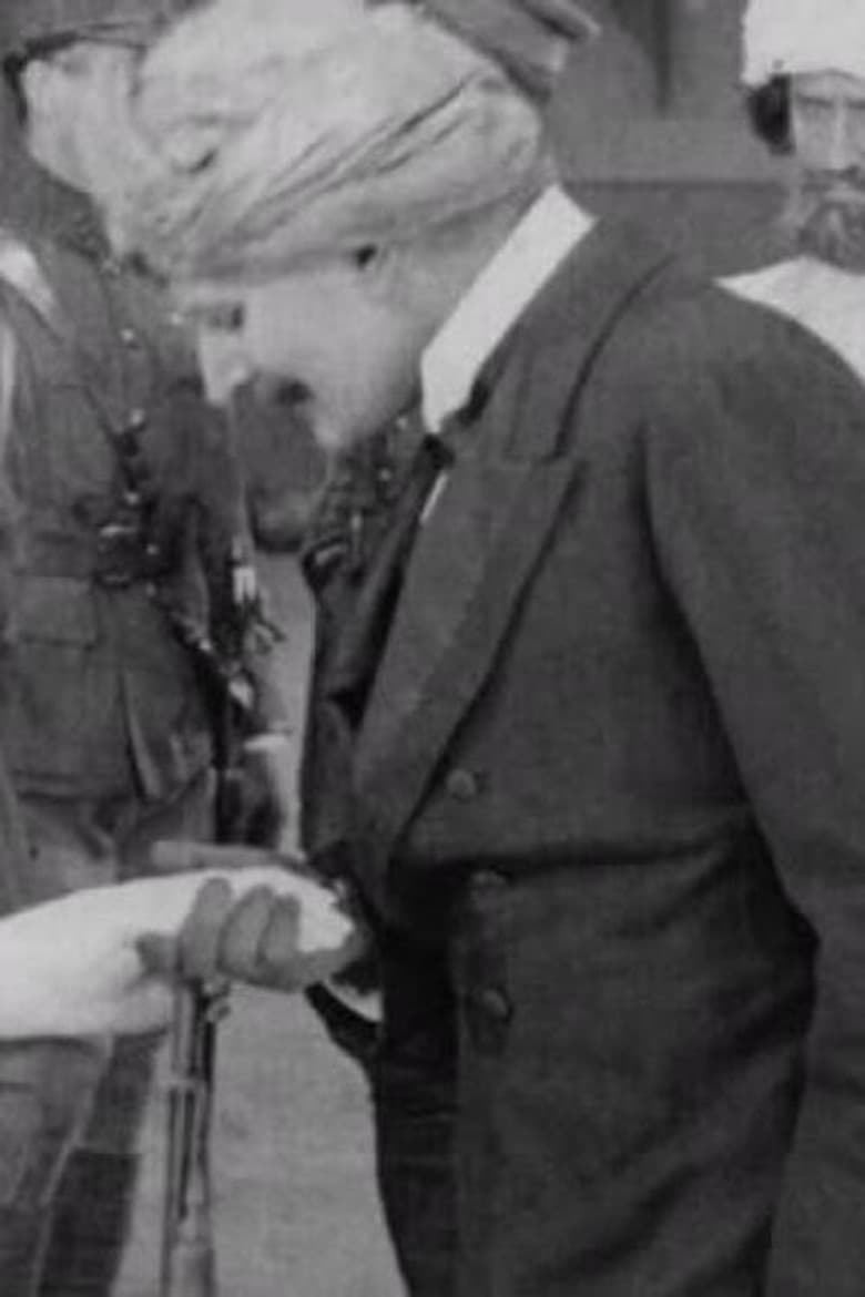 The Ring and the Rajah poster