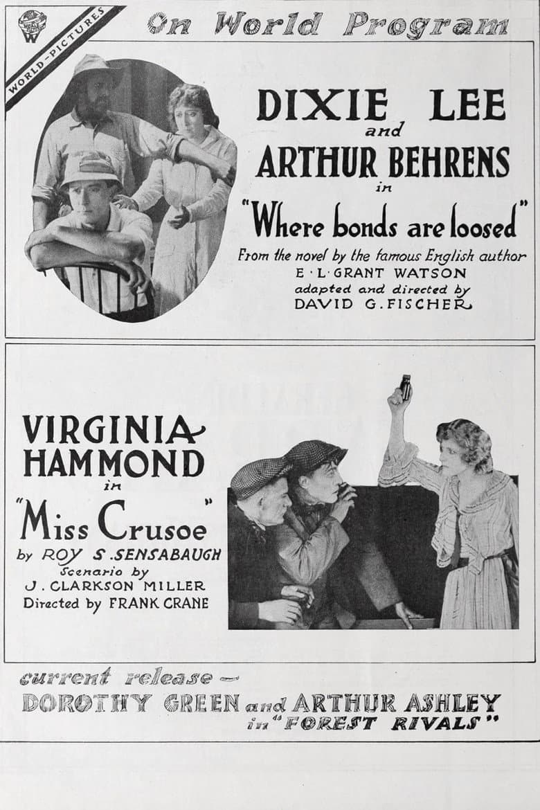 Miss Crusoe poster
