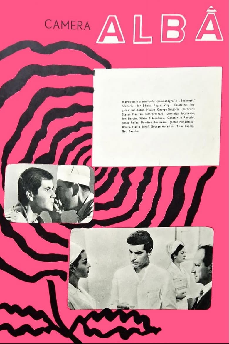 Camera alba poster