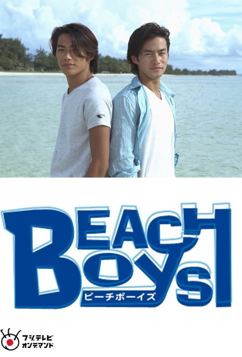 Beach Boys Special poster