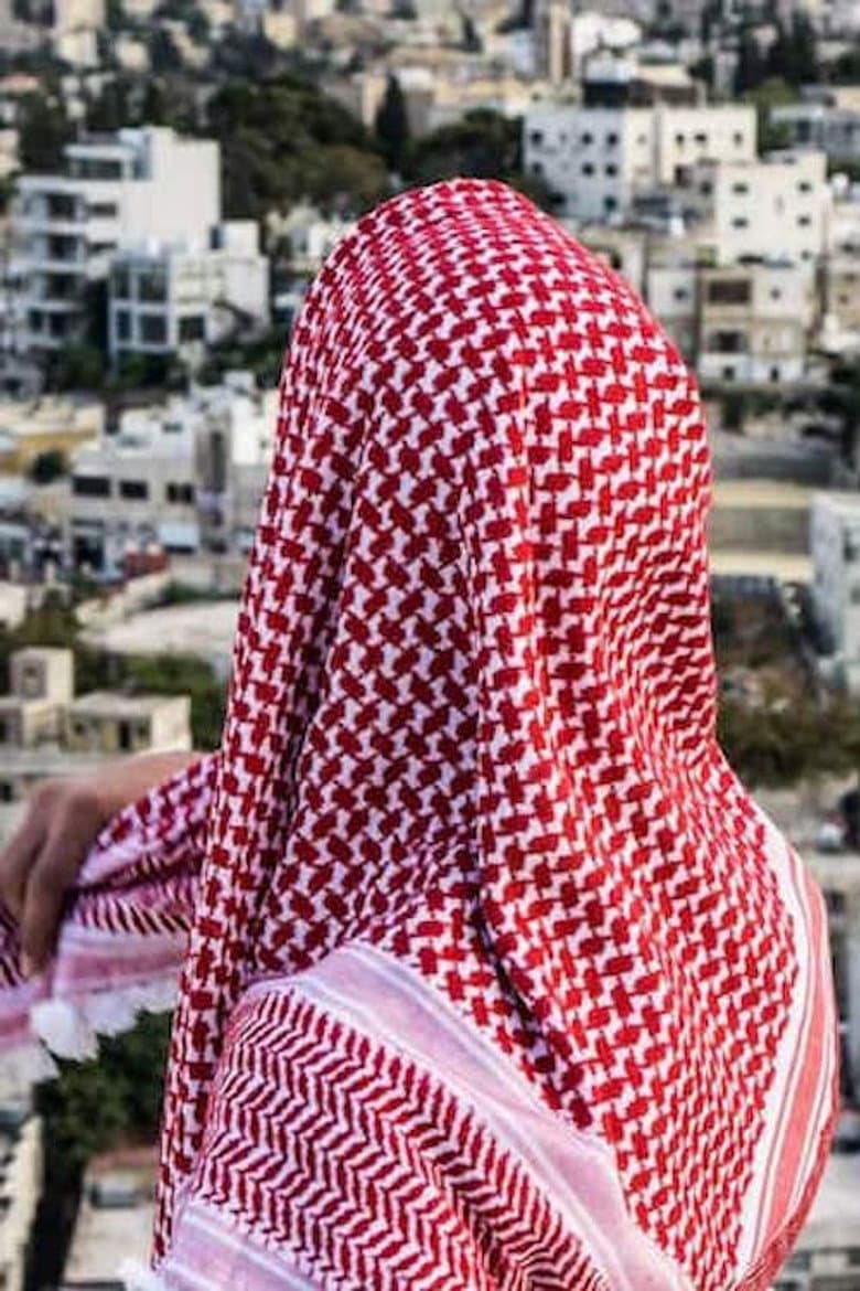 Birds of the Borderlands poster