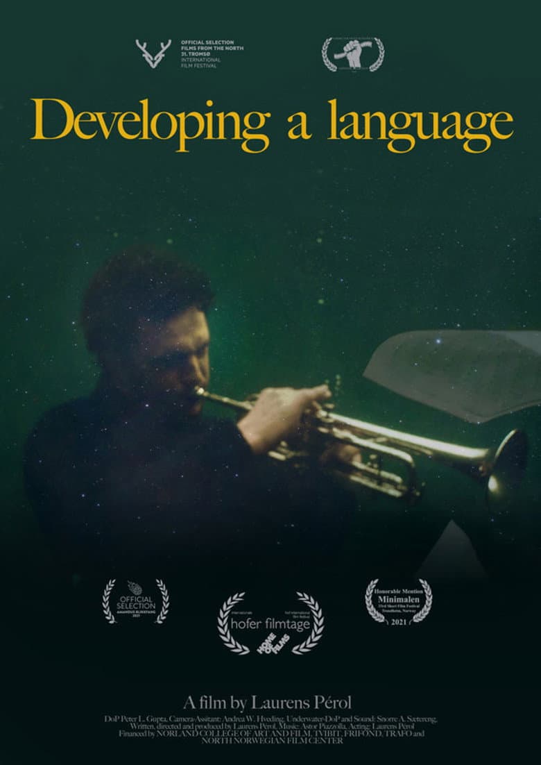 Developing a Language poster