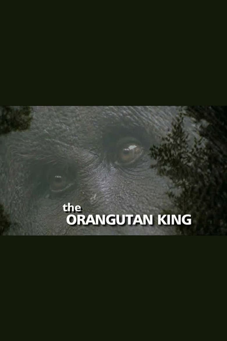 The Orangutan King poster