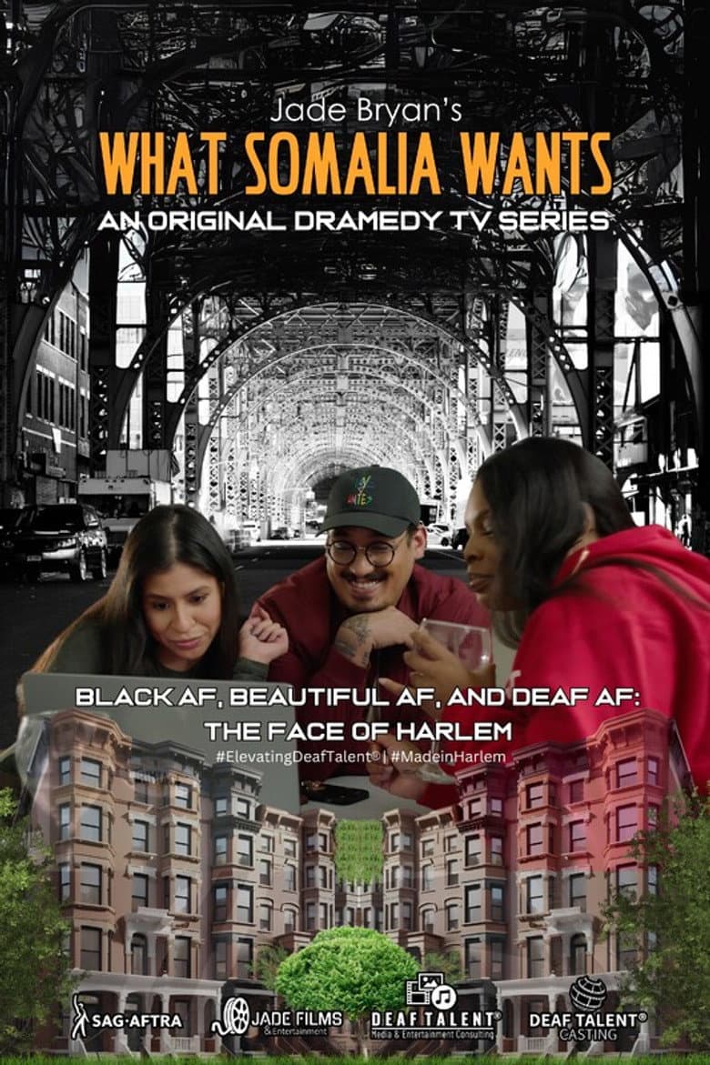 What Somalia Wants poster