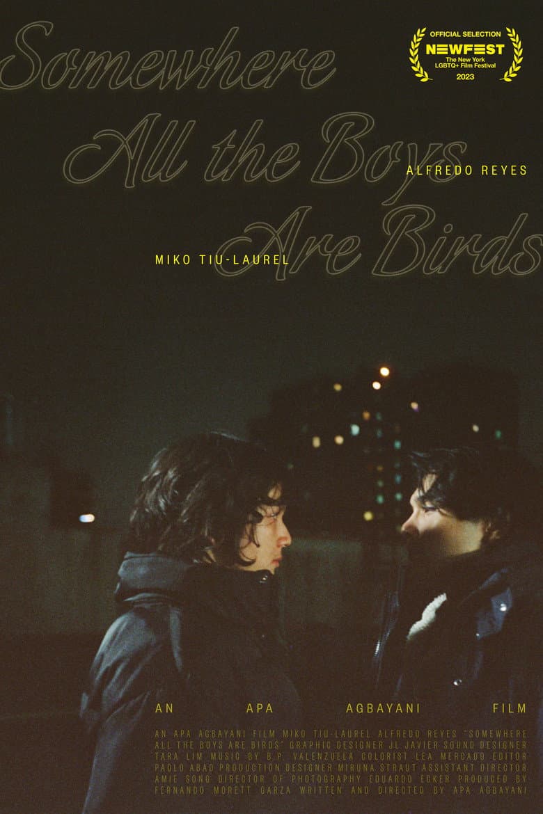 Somewhere all the boys are birds poster