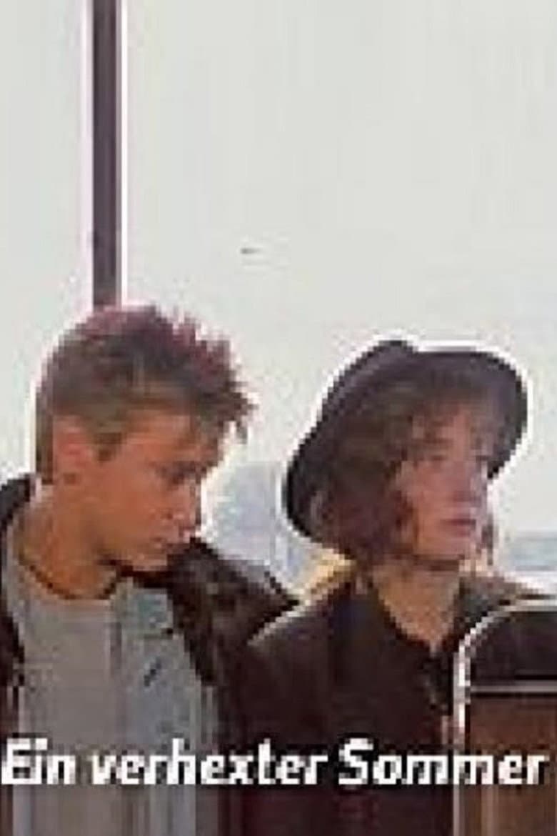 Ein verhexter Sommer poster