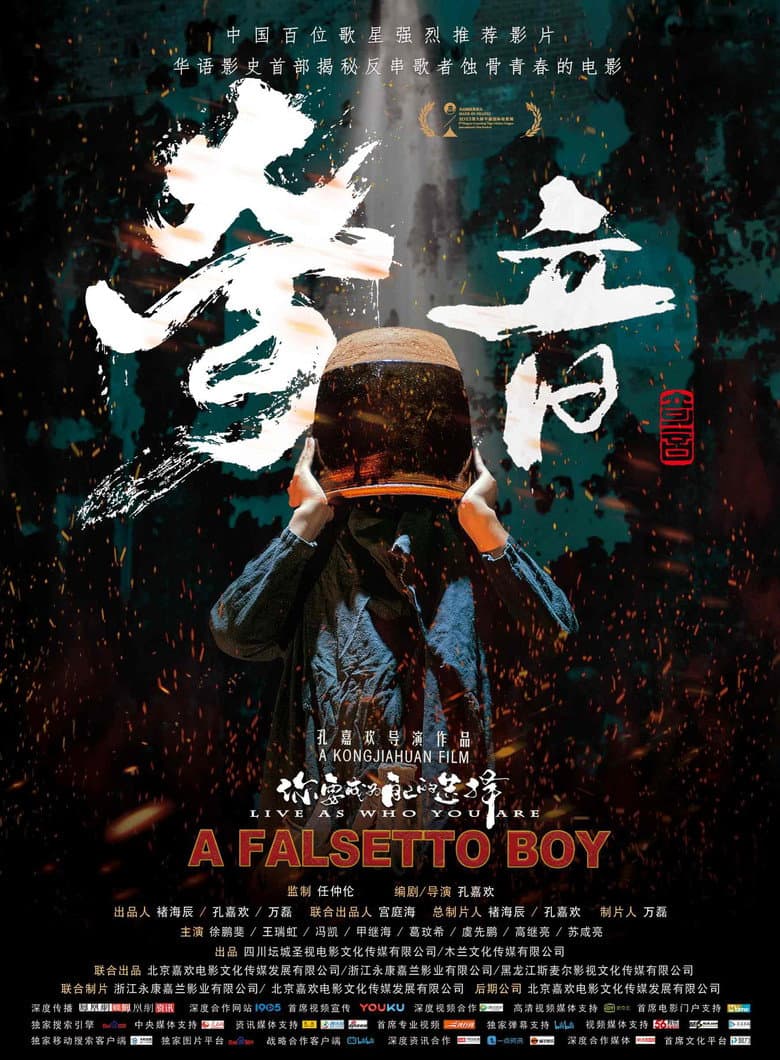 A Falsetto Boy poster