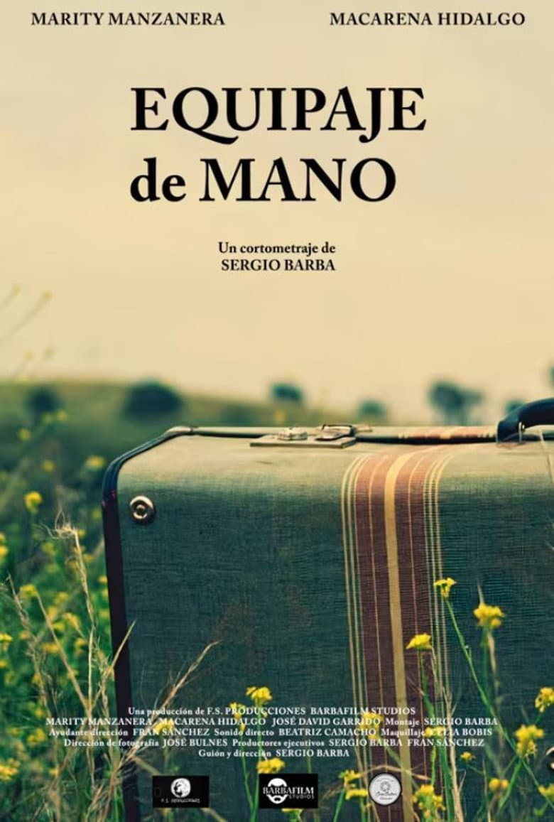 Hand Luggage poster