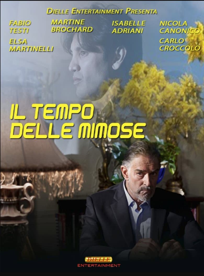 Il tempo delle mimose poster