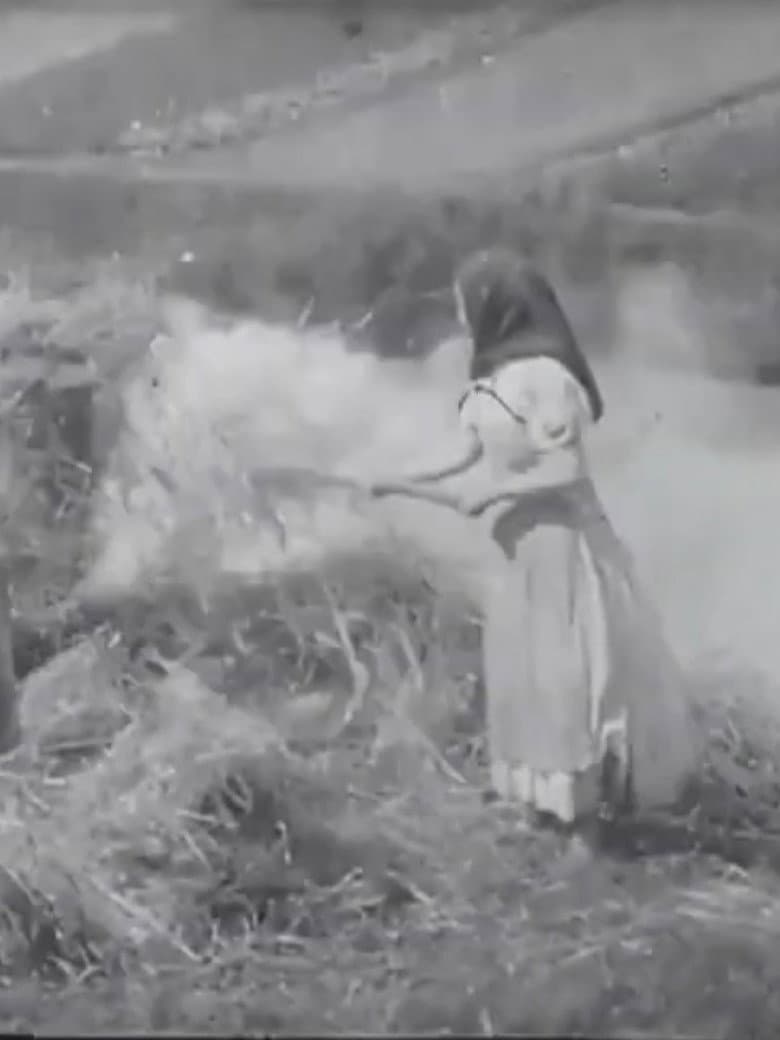 Brûleuses d'herbes poster