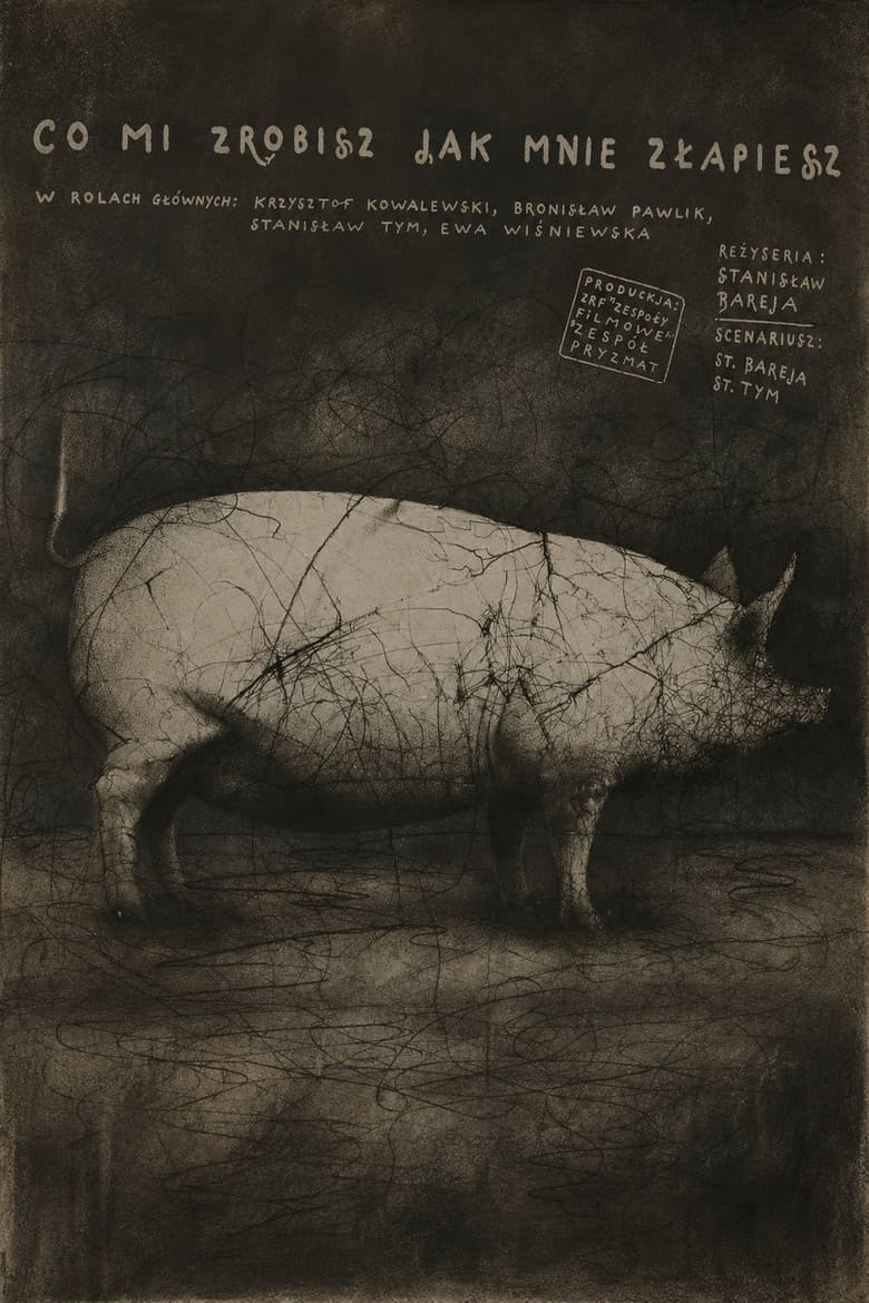 What Will You Do When You Catch Me? poster