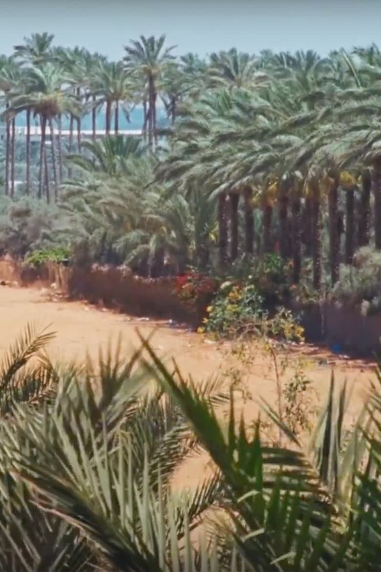 Electrical Gaza poster