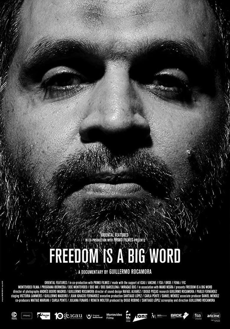 Freedom is a Big Word poster