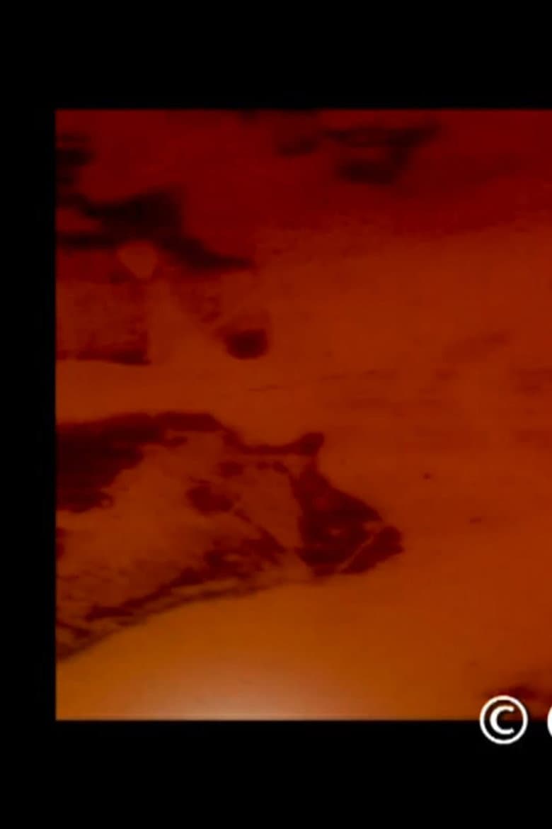 Visitor in the Inside poster