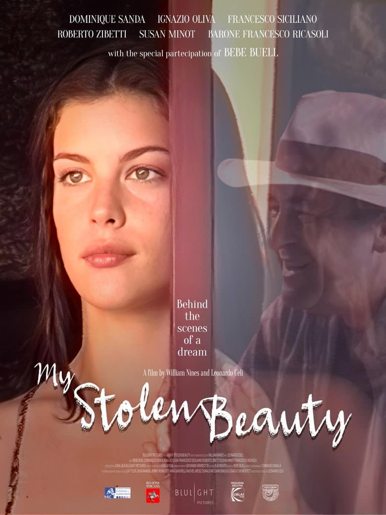 My Stolen Beauty poster