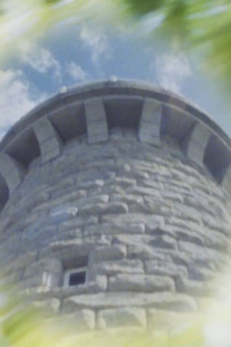 Like a Lighthouse poster