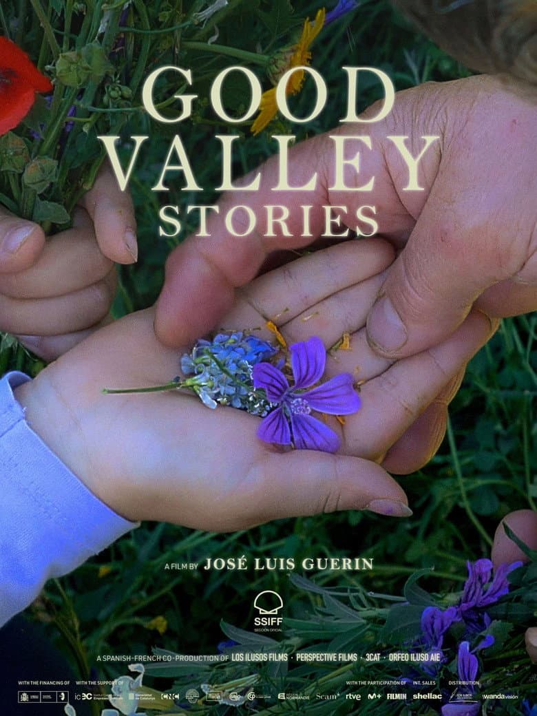 Good Valley Stories poster