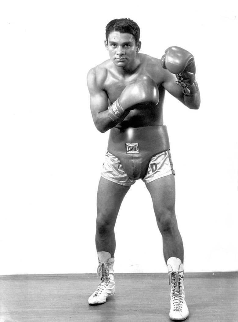 Fists of a Nation poster