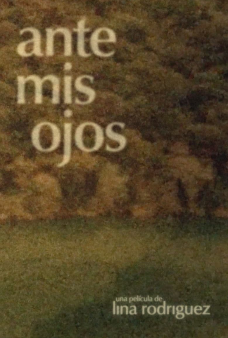 Ante mis ojos poster
