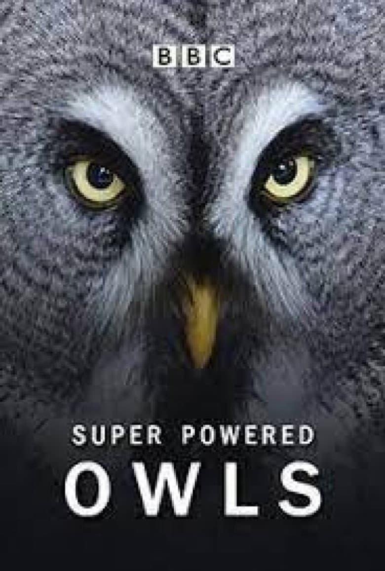Super Powered Owls poster