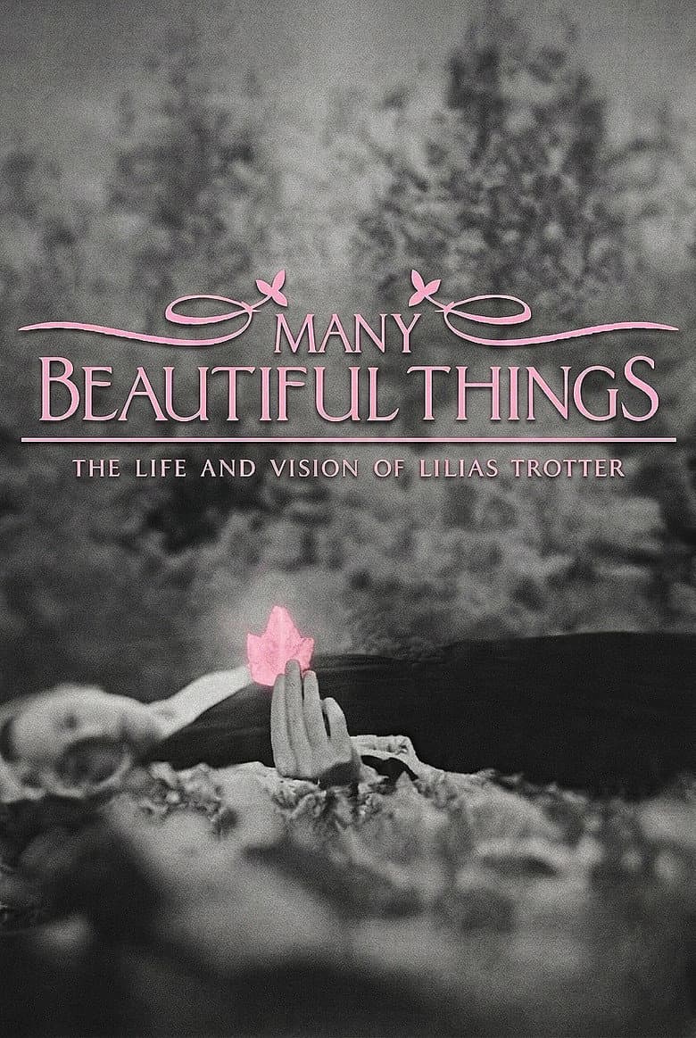 Many Beautiful Things poster
