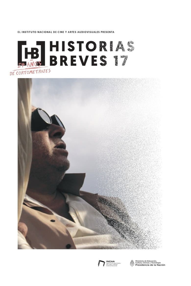 Historias breves 17 poster