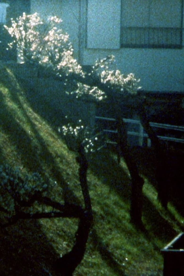 What is it that you said? poster