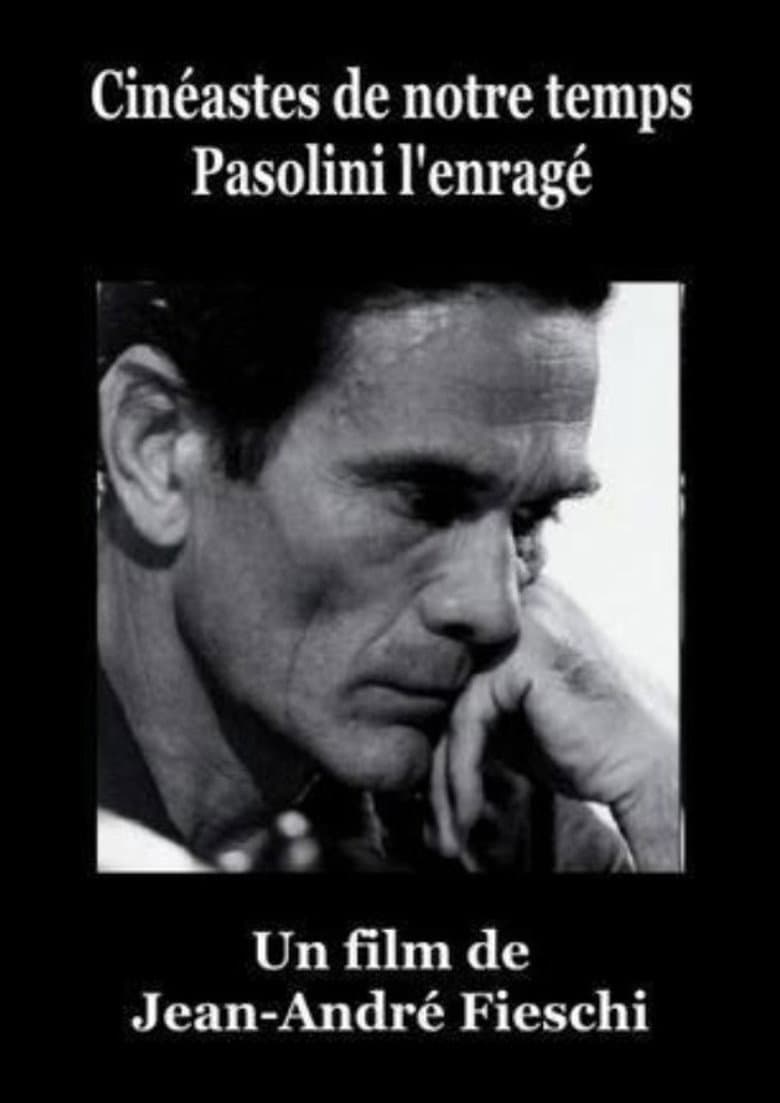 Pasolini l'Enragé poster