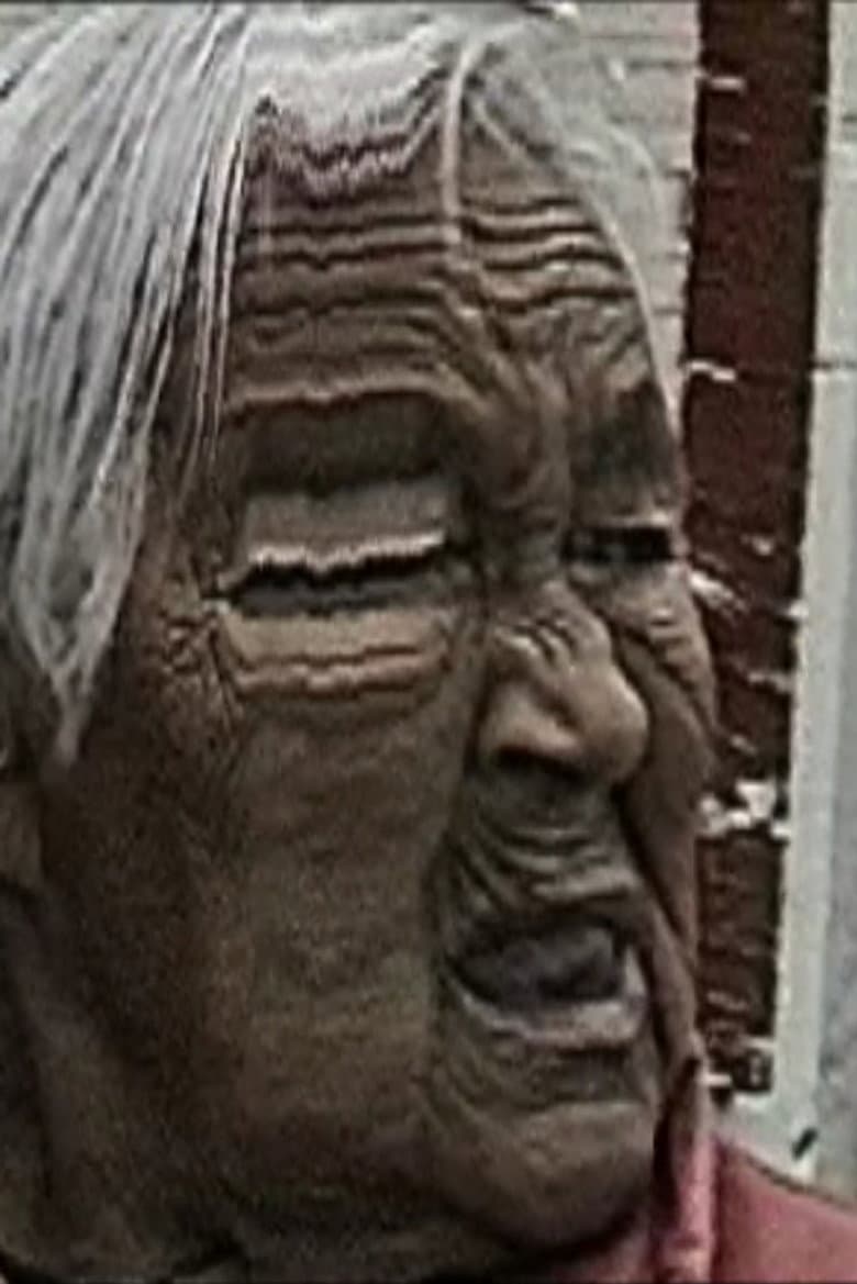 Old Lady El Toppo poster