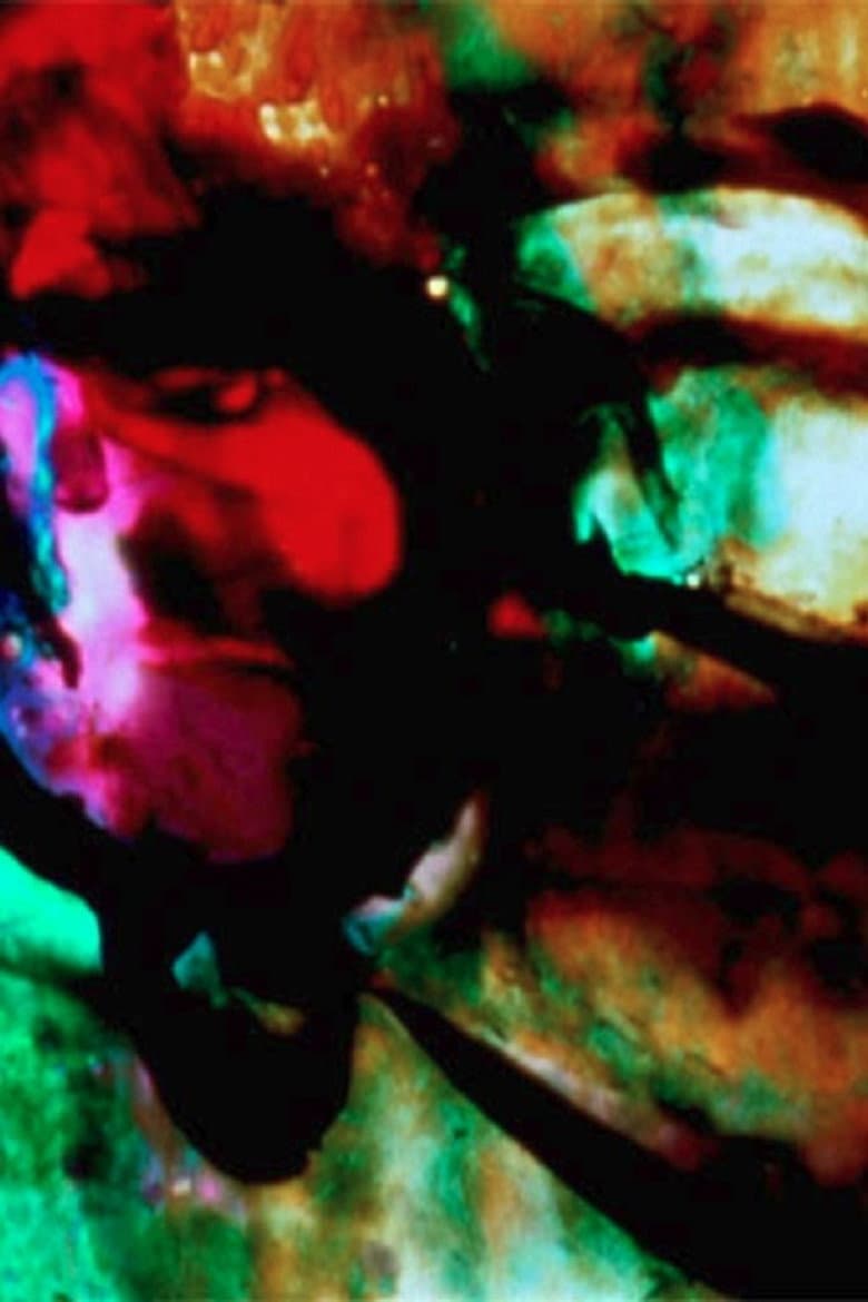 The Lion and the Zebra Make God's Raw Jewels poster