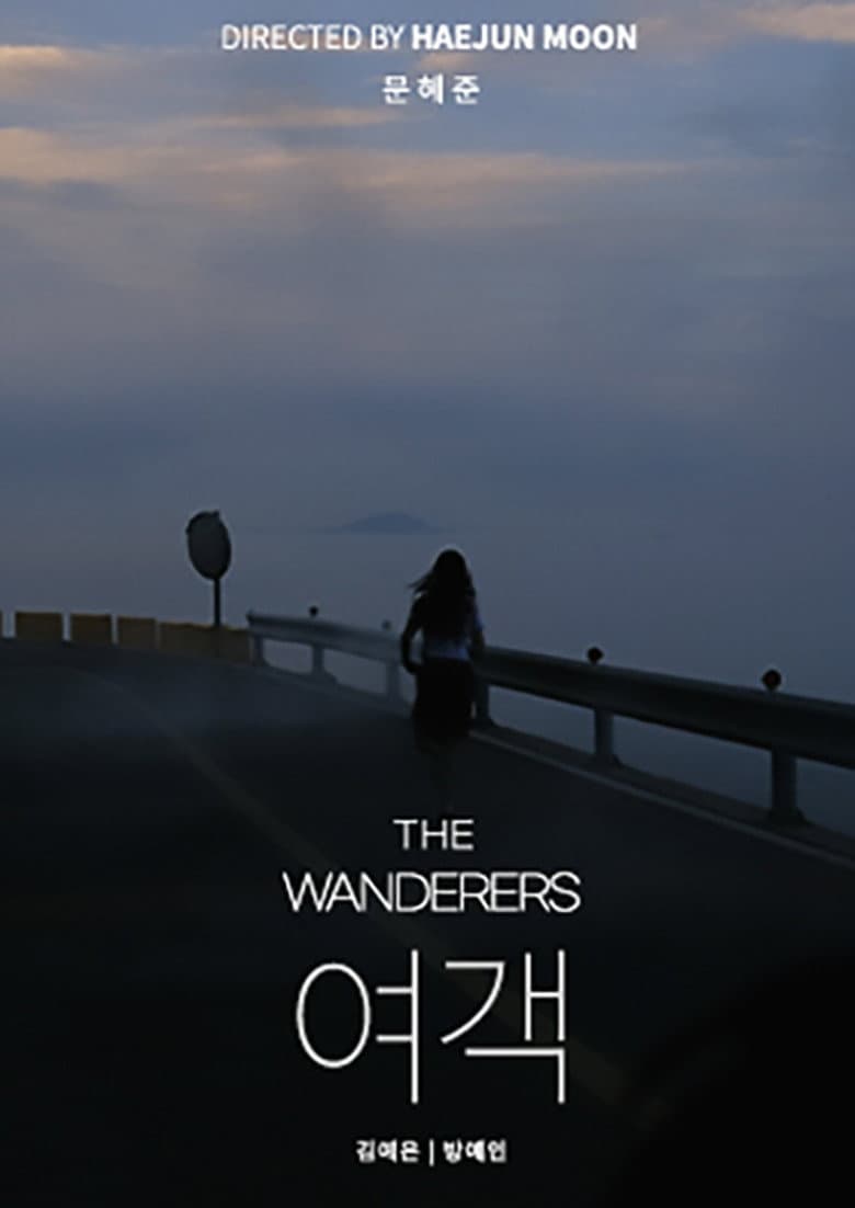 The Wanderers poster