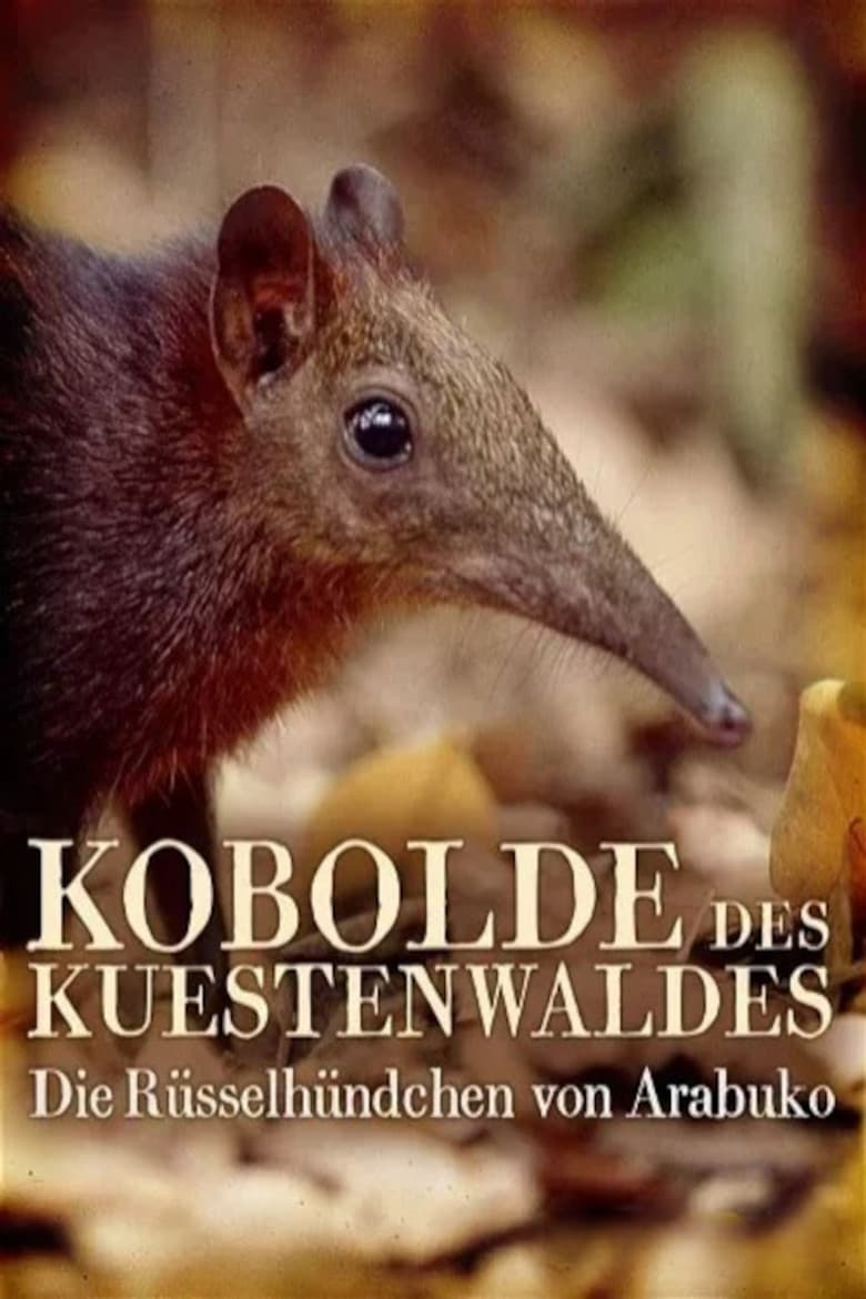 Rainforest Pixies: The Mysterious Rhynchocyon Shrew of Arabuko poster
