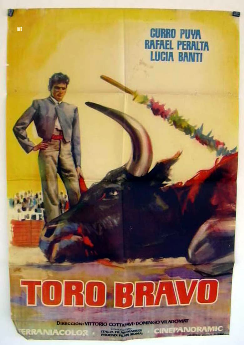 Toro bravo poster