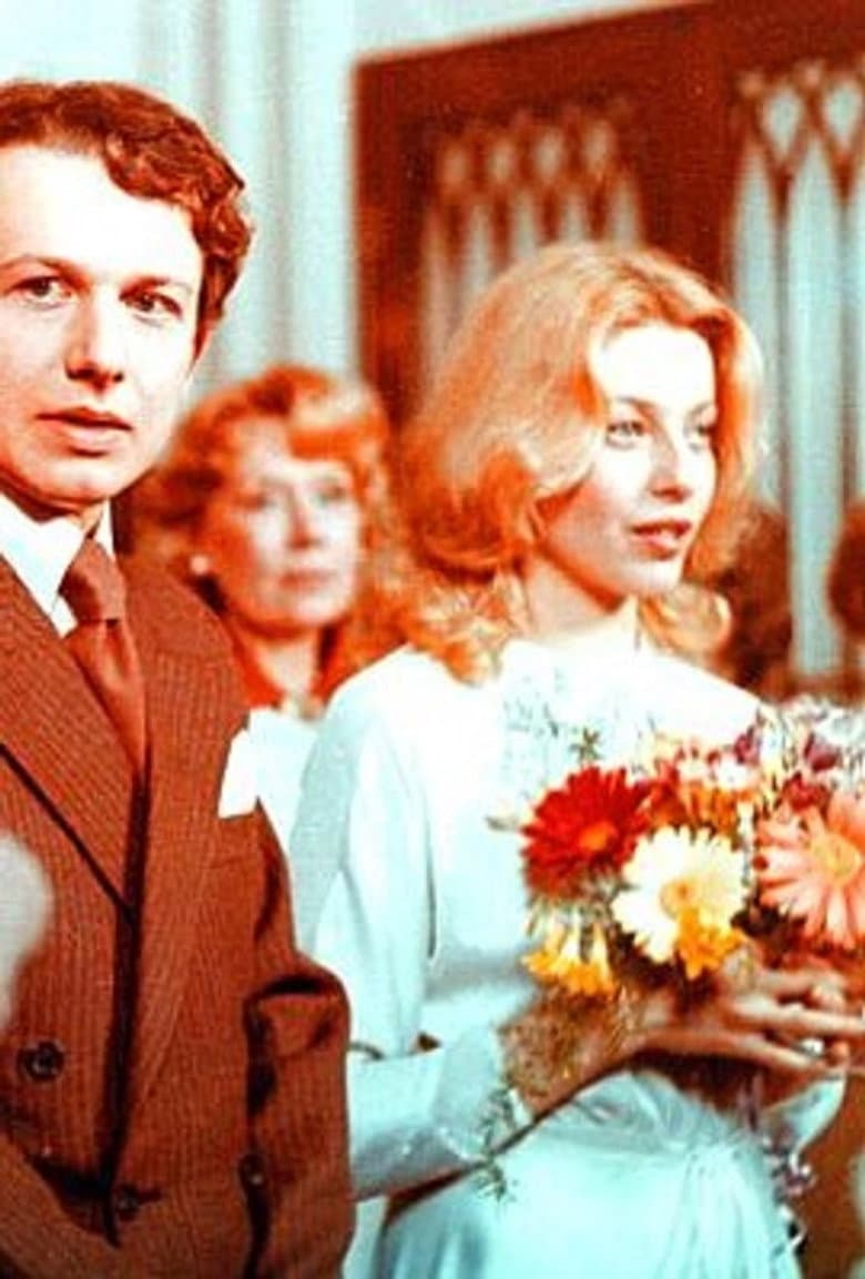 Point of View poster