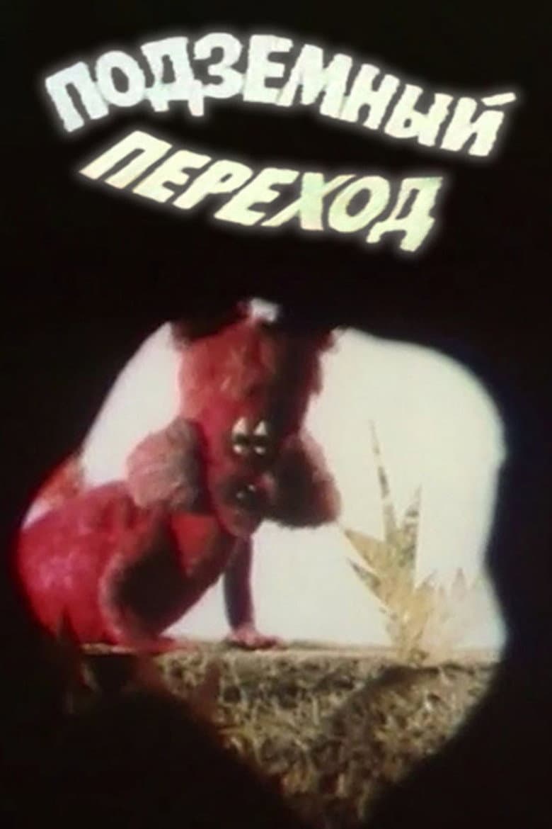 Underground Crossing poster