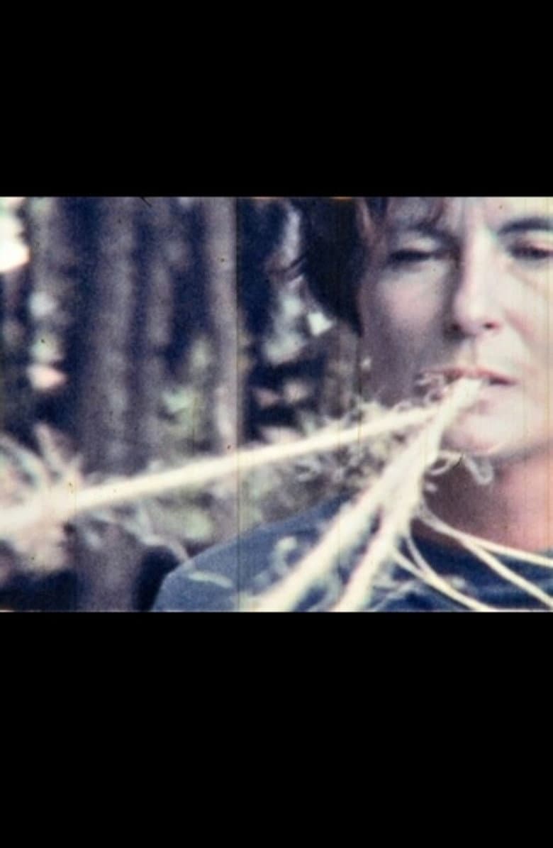 Autobiográfico 2 poster