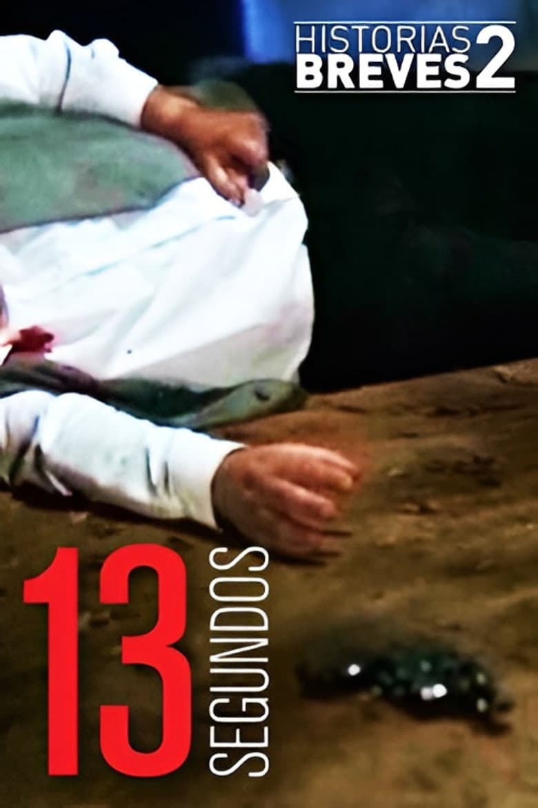 Historias Breves II: Trece Segundos poster