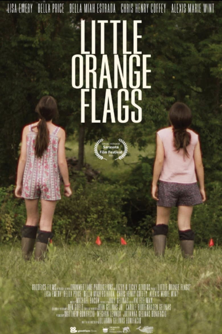 Little Orange Flags poster