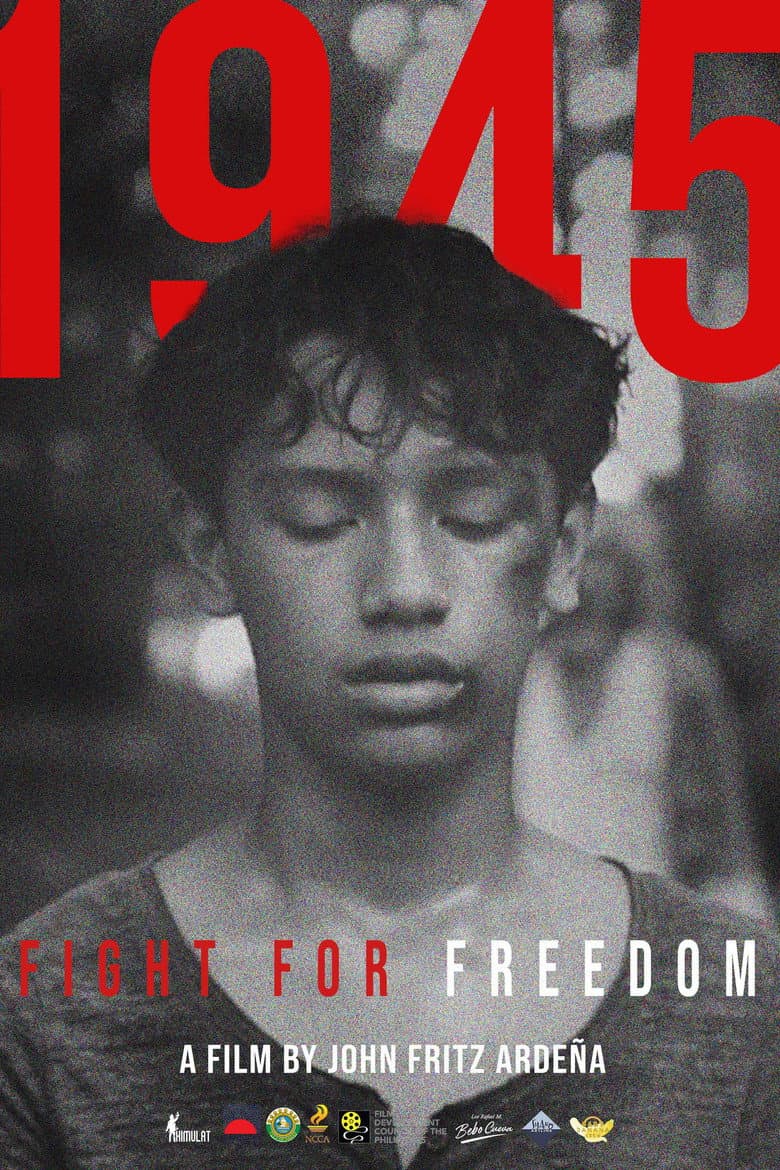 1945: Fight For Freedom poster