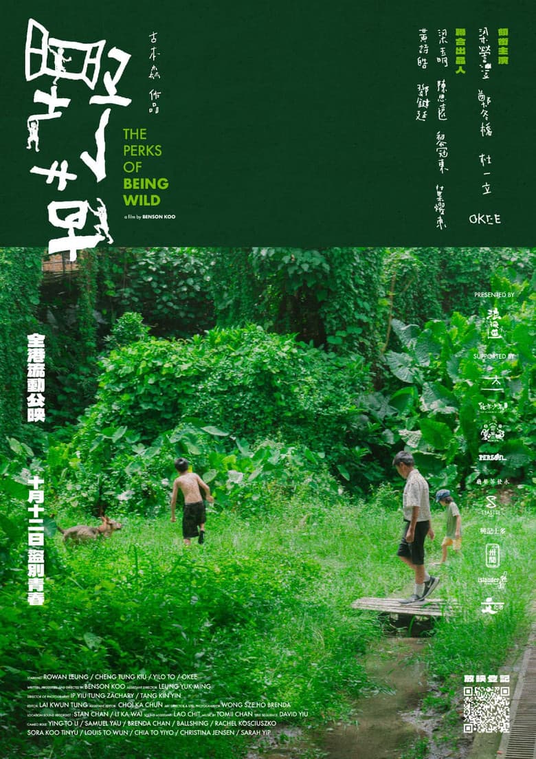 The Perks of Being Wild poster