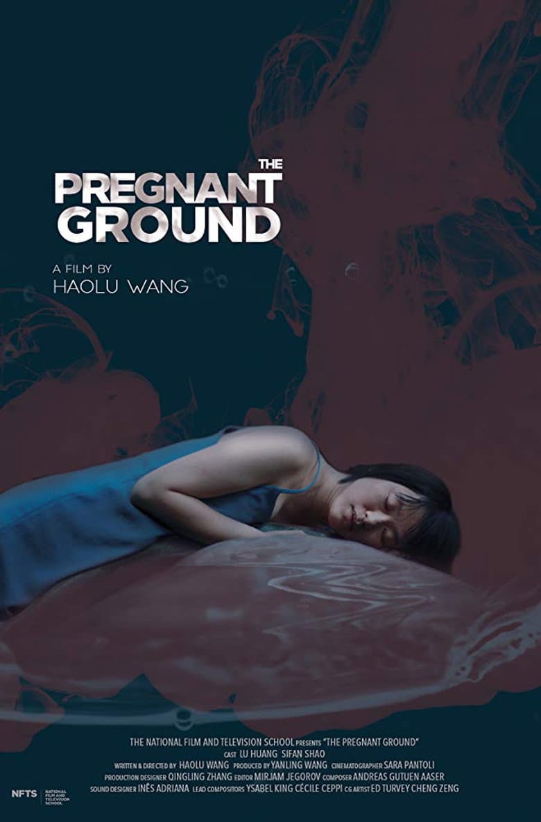 The Pregnant Ground poster