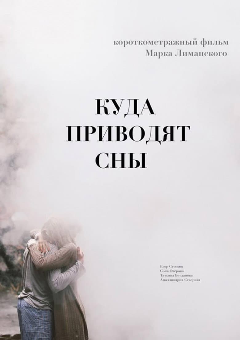 I Want To See You In My Dreams poster