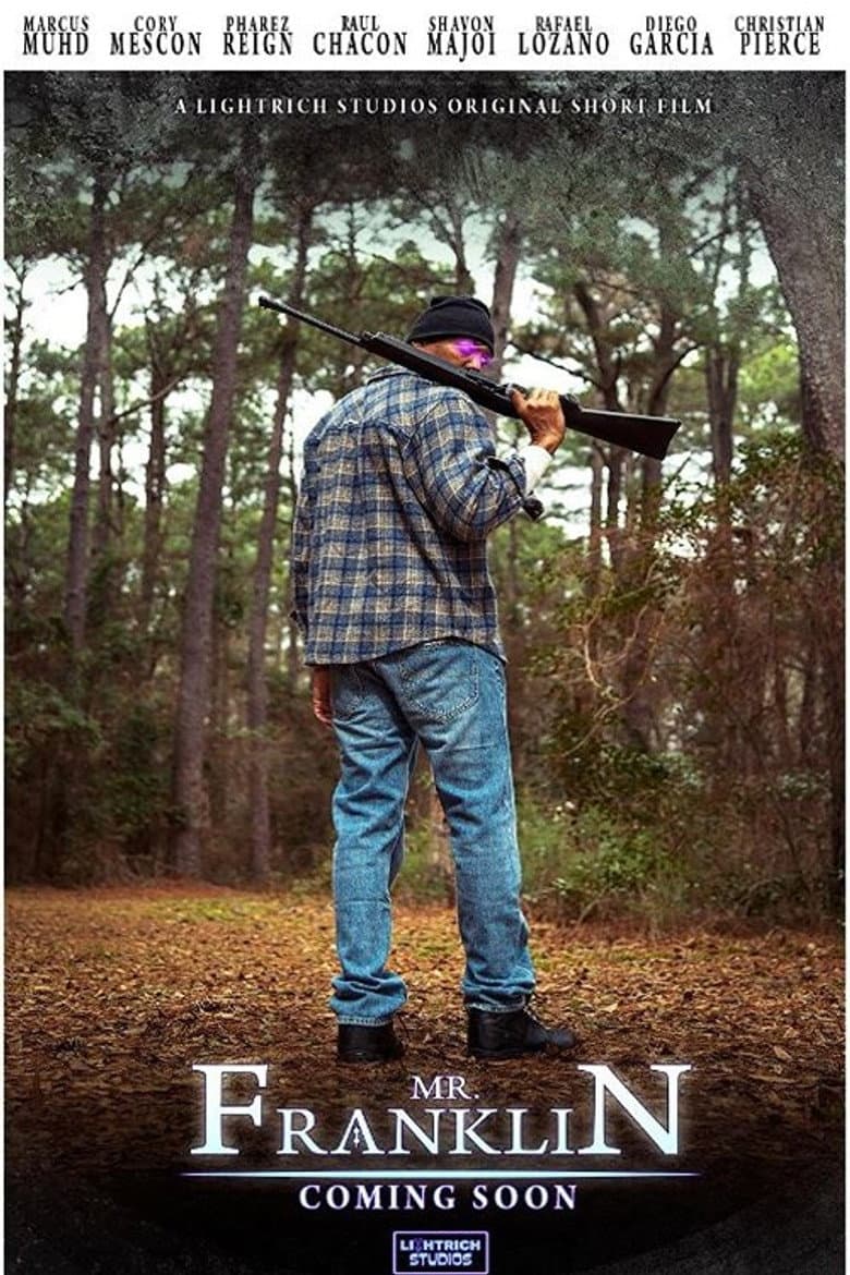 Mr. Franklin poster