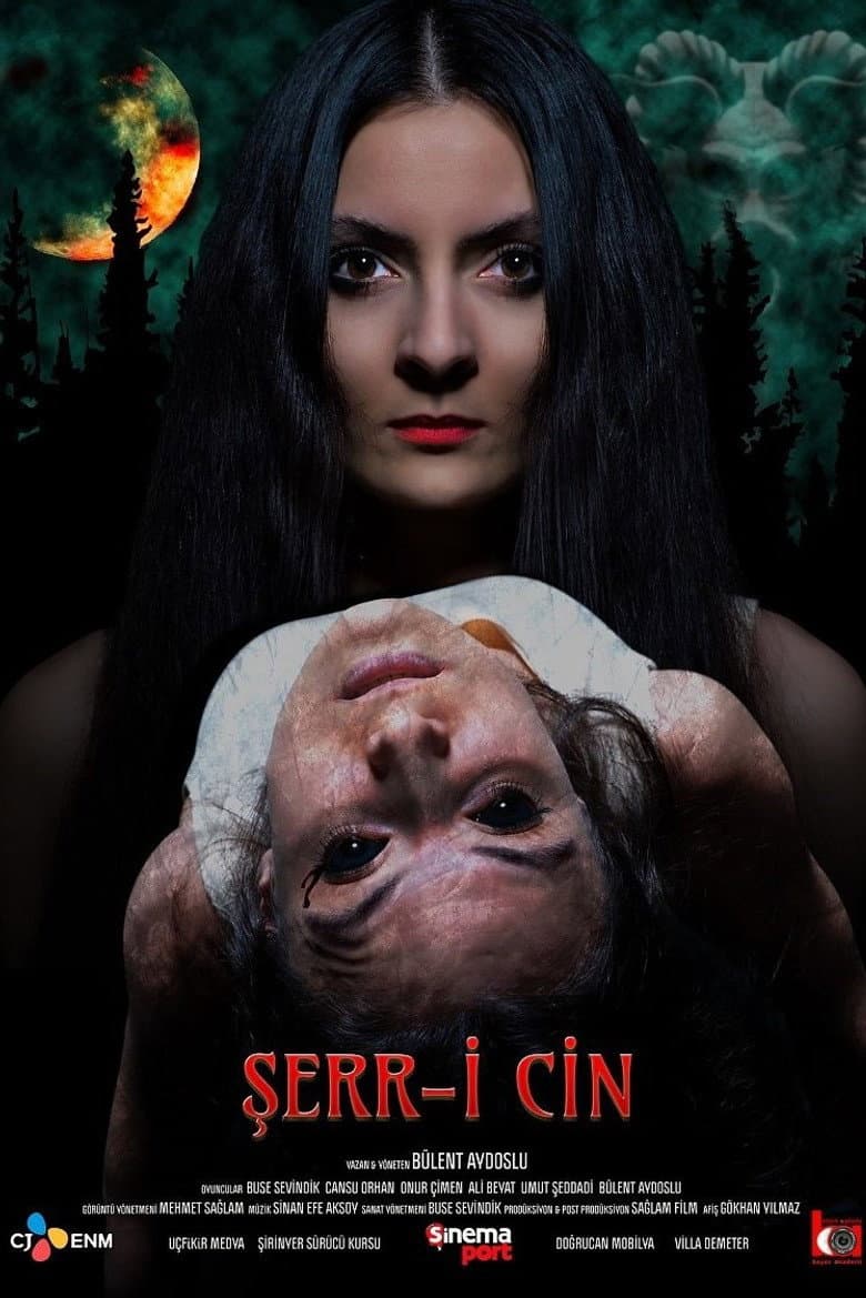 Şerr-i Cin poster
