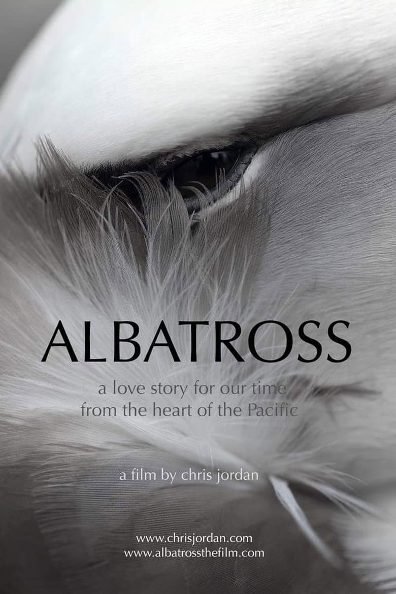 Albatross poster