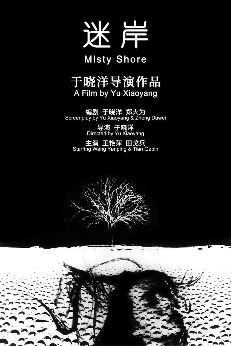 Misty Shore poster